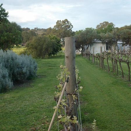 Southern Vales Bed & Breakfast Mclaren Vale Ngoại thất bức ảnh