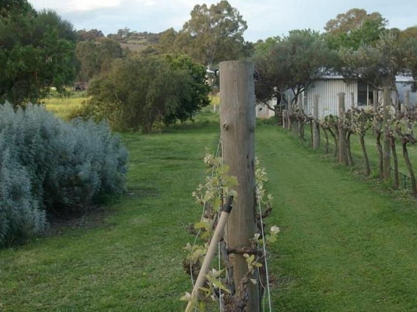 Southern Vales Bed & Breakfast Mclaren Vale Ngoại thất bức ảnh