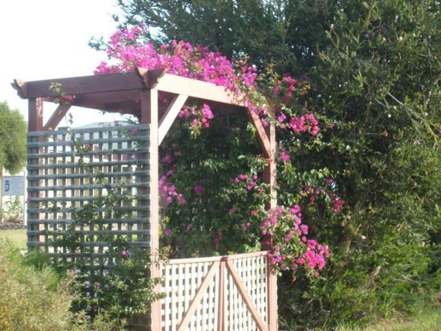 Southern Vales Bed & Breakfast Mclaren Vale Ngoại thất bức ảnh