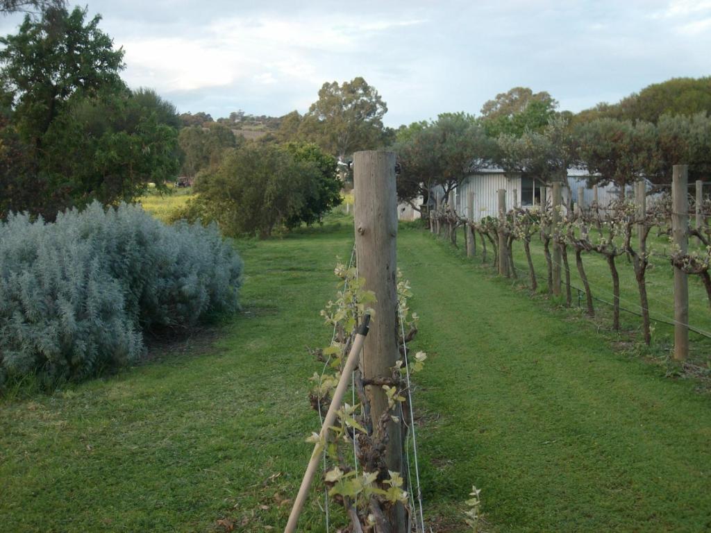 Southern Vales Bed & Breakfast Mclaren Vale Ngoại thất bức ảnh